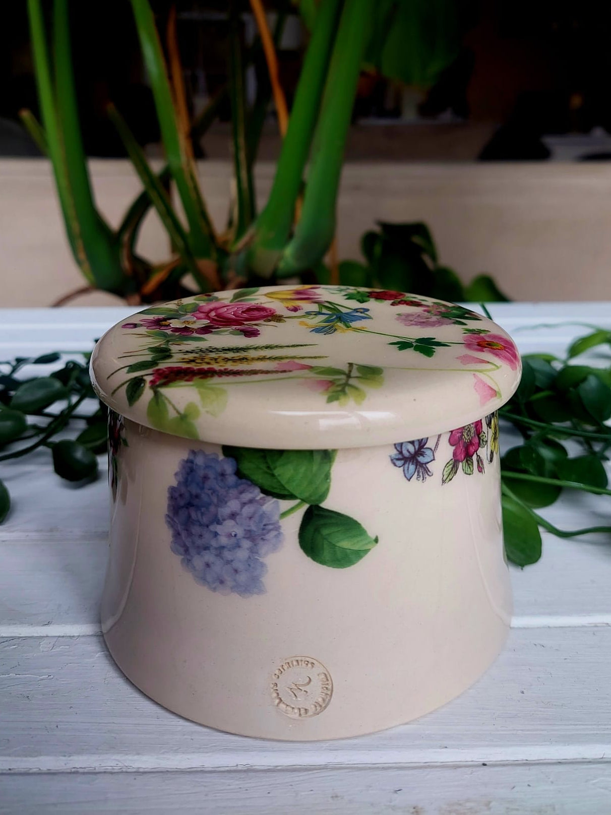French Butter Dish